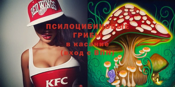 молекула духа Балахна
